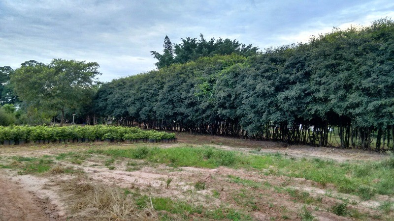 Fazenda à venda com 2 quartos, 40000m² - Foto 37