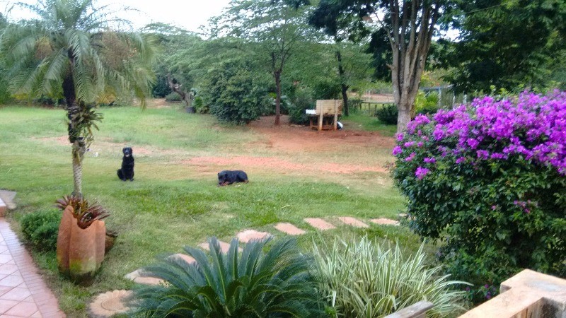 Fazenda à venda com 2 quartos, 40000m² - Foto 13