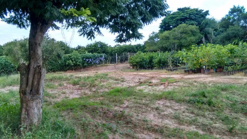 Fazenda à venda com 2 quartos, 40000m² - Foto 35