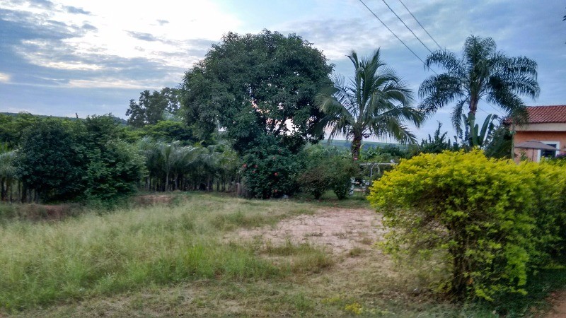 Fazenda à venda com 2 quartos, 40000m² - Foto 11