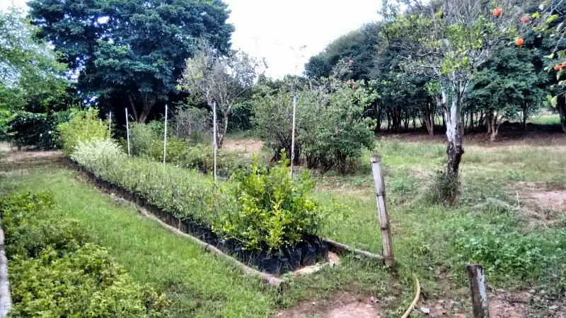 Fazenda à venda com 2 quartos, 40000m² - Foto 27