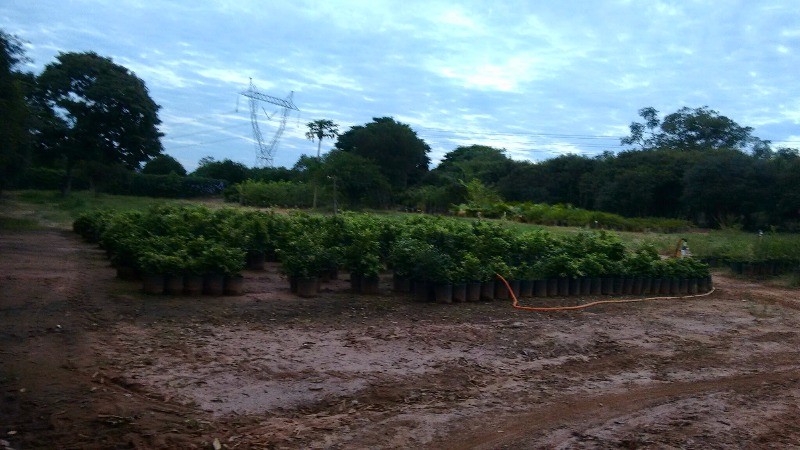 Fazenda à venda com 2 quartos, 40000m² - Foto 43