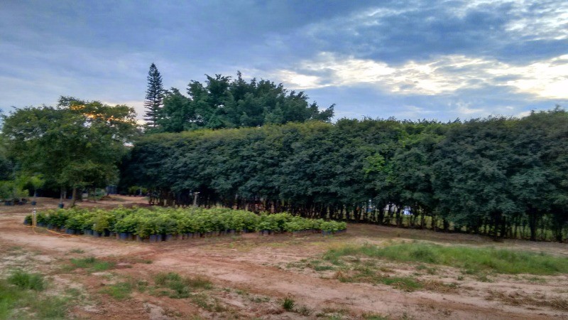 Fazenda à venda com 2 quartos, 40000m² - Foto 40