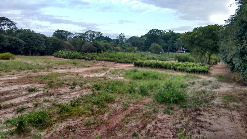 Fazenda à venda com 2 quartos, 40000m² - Foto 32