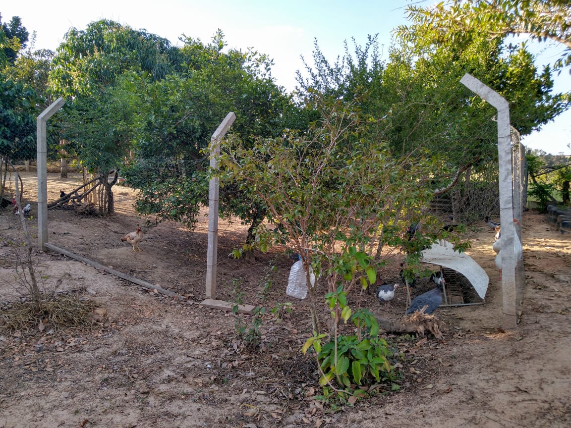 Fazenda à venda com 2 quartos, 1000m² - Foto 19