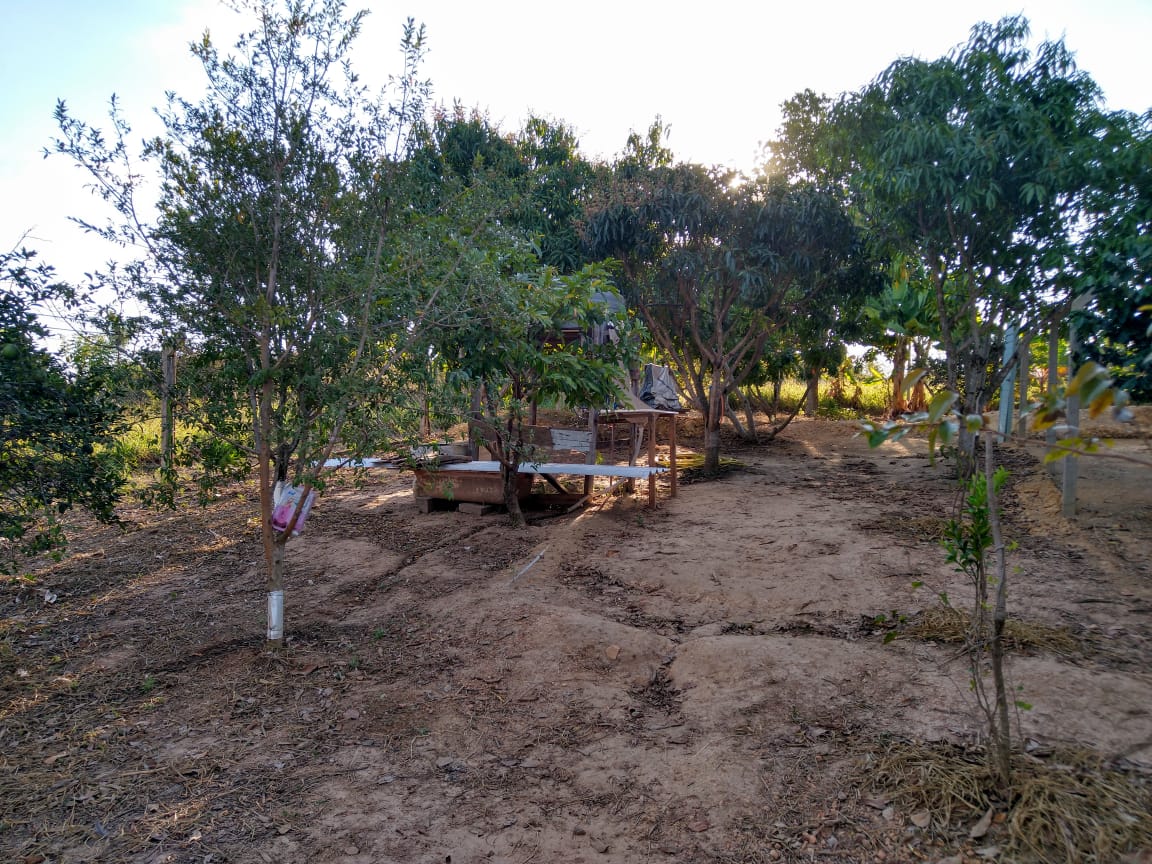 Fazenda à venda com 2 quartos, 1000m² - Foto 21