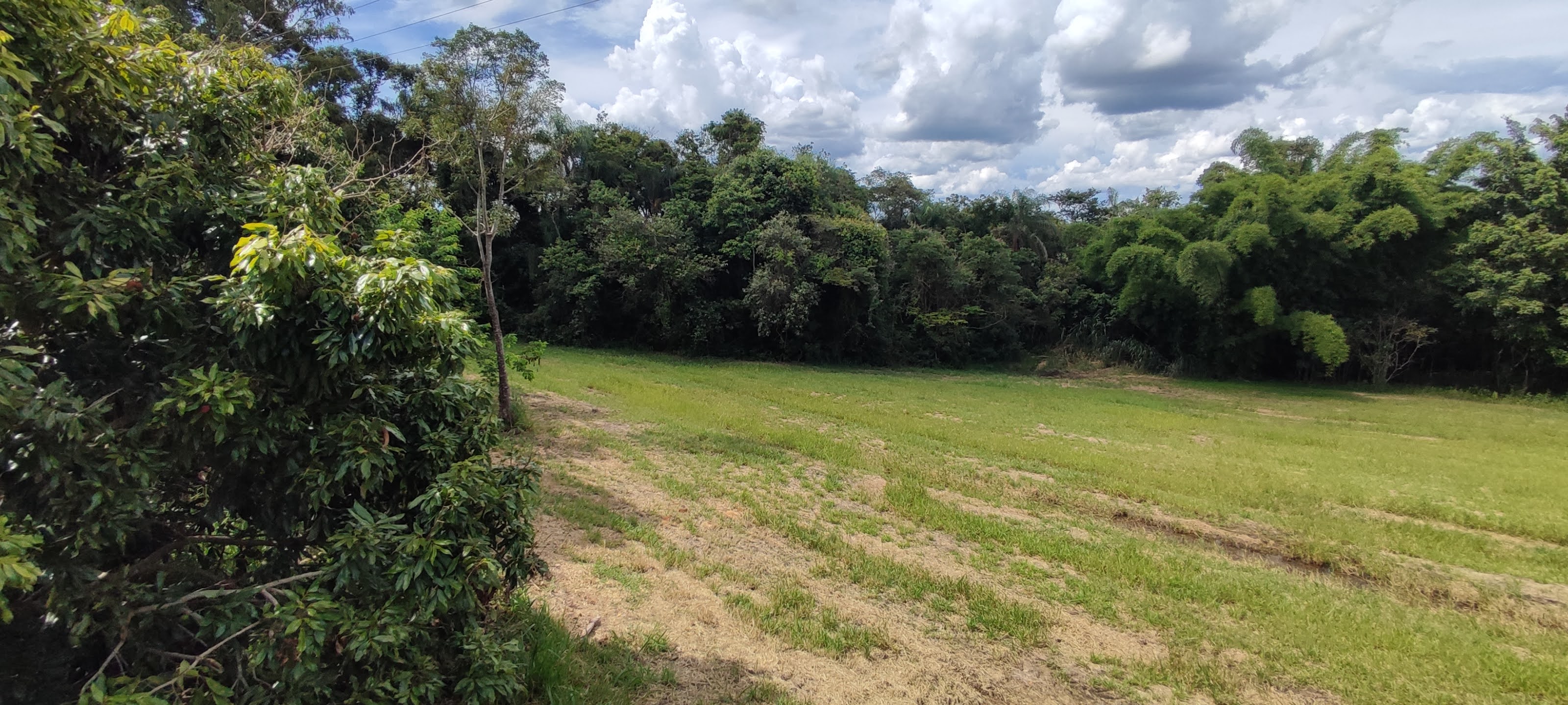 Fazenda à venda com 1 quarto, 10000m² - Foto 14