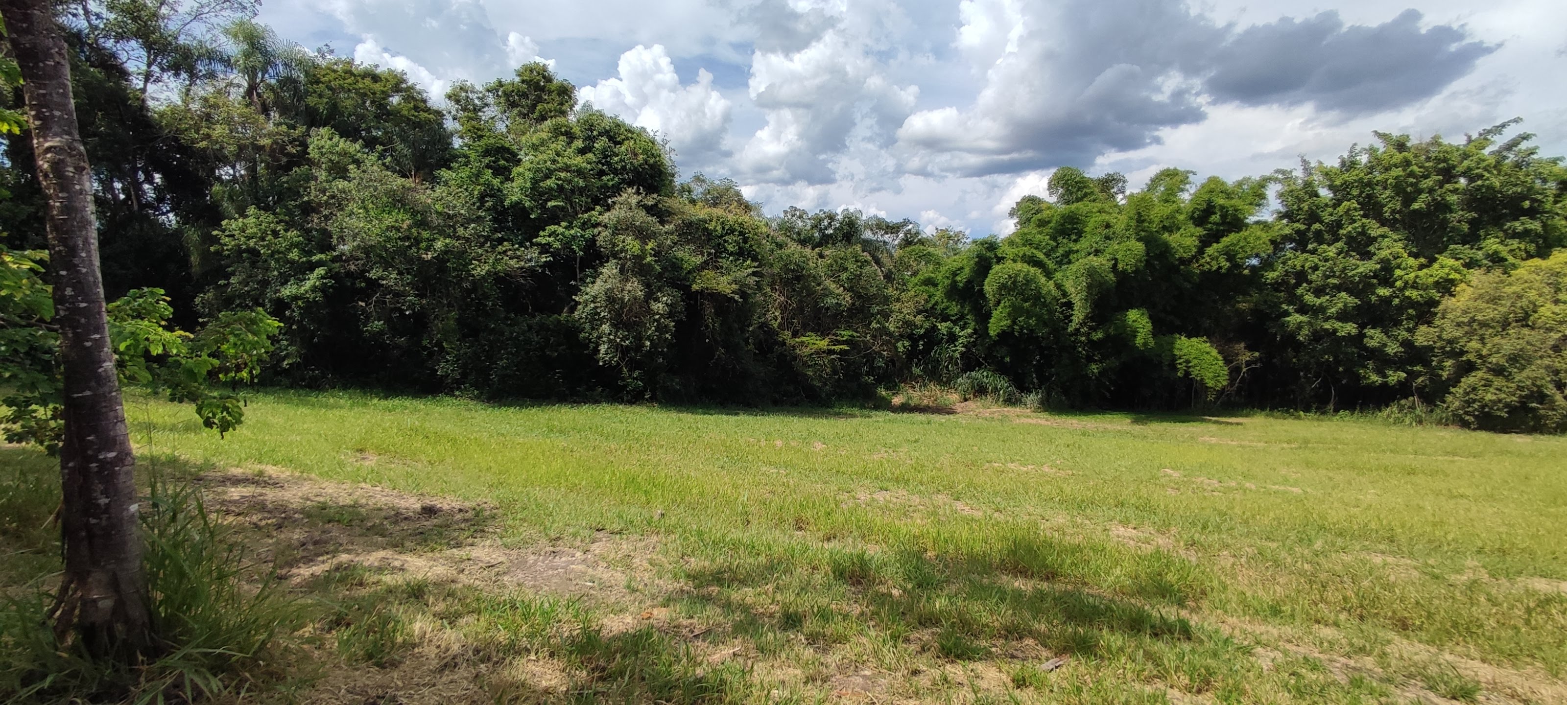 Fazenda à venda com 1 quarto, 10000m² - Foto 26