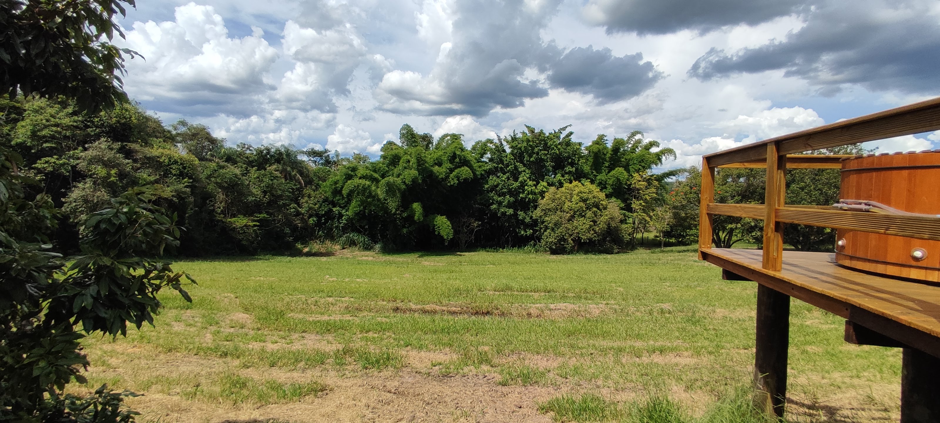 Fazenda à venda com 1 quarto, 10000m² - Foto 30