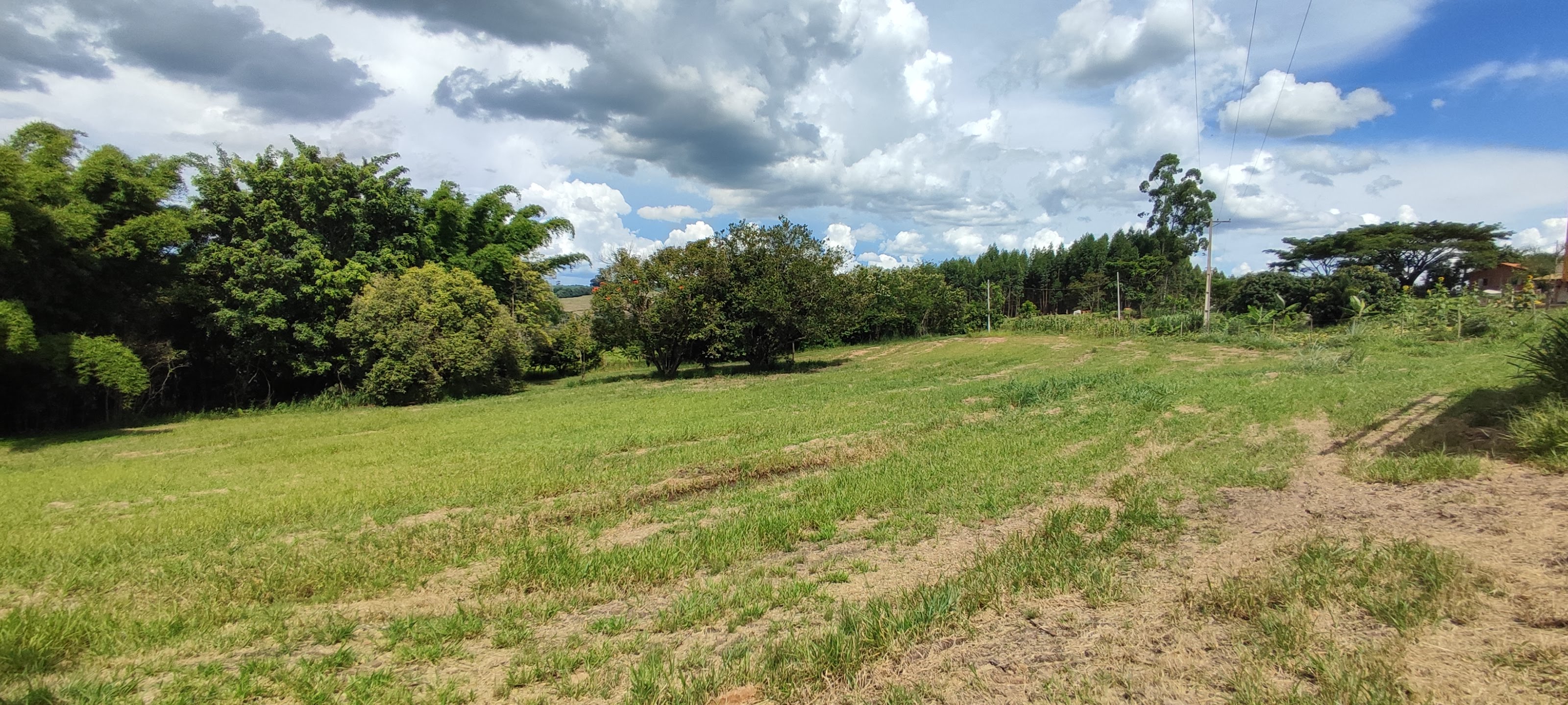 Fazenda à venda com 1 quarto, 10000m² - Foto 29