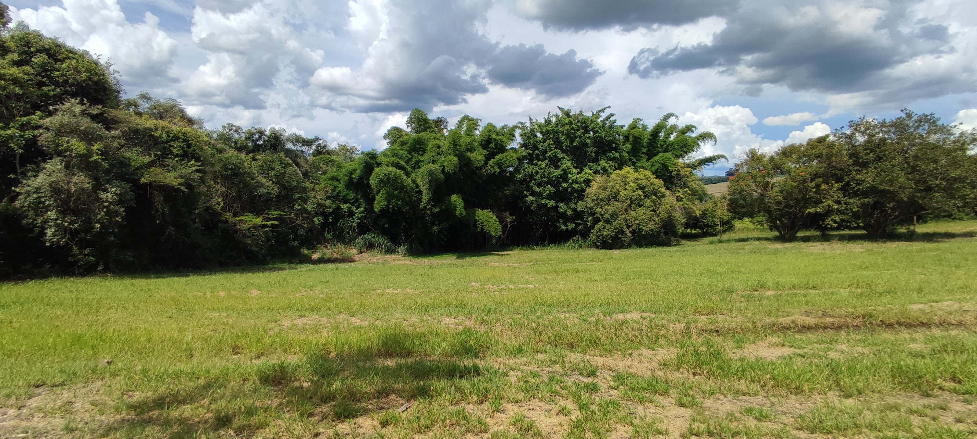 Fazenda à venda com 1 quarto, 10000m² - Foto 28