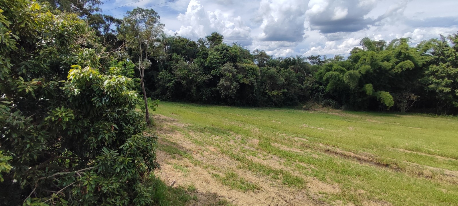 Chacara com 10.000m no Pinhal em Limeira SP