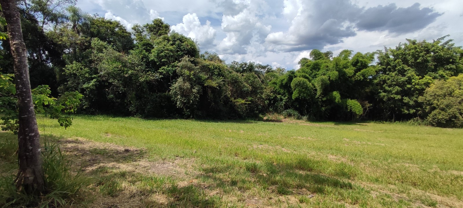 Chacara com 10.000m no Pinhal em Limeira SP