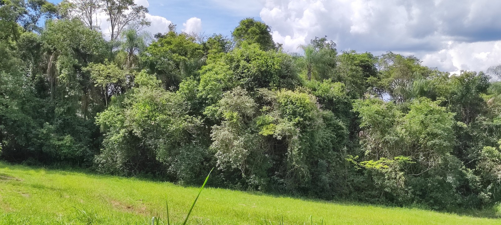 Chacara com 10.000m no Pinhal em Limeira SP