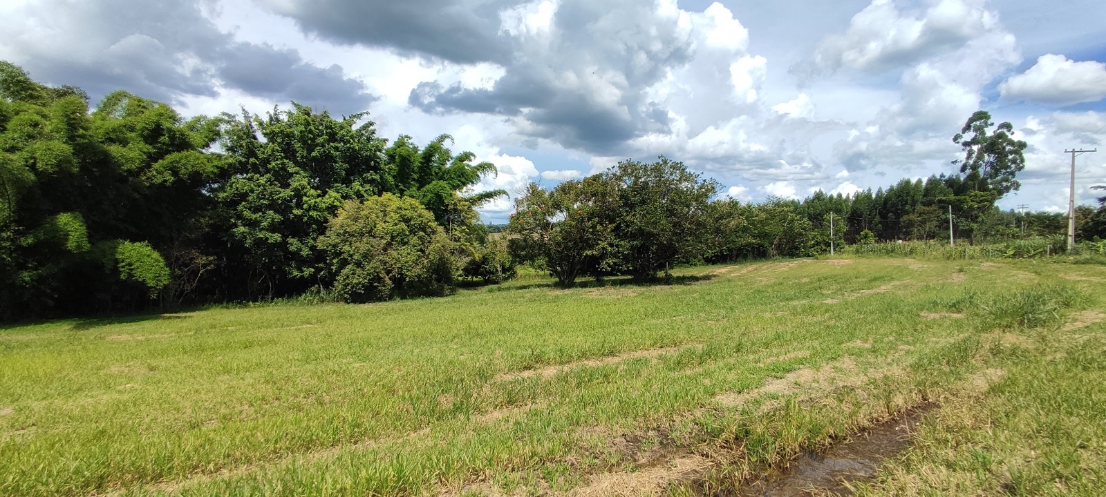 Chacara com 10.000m no Pinhal em Limeira SP