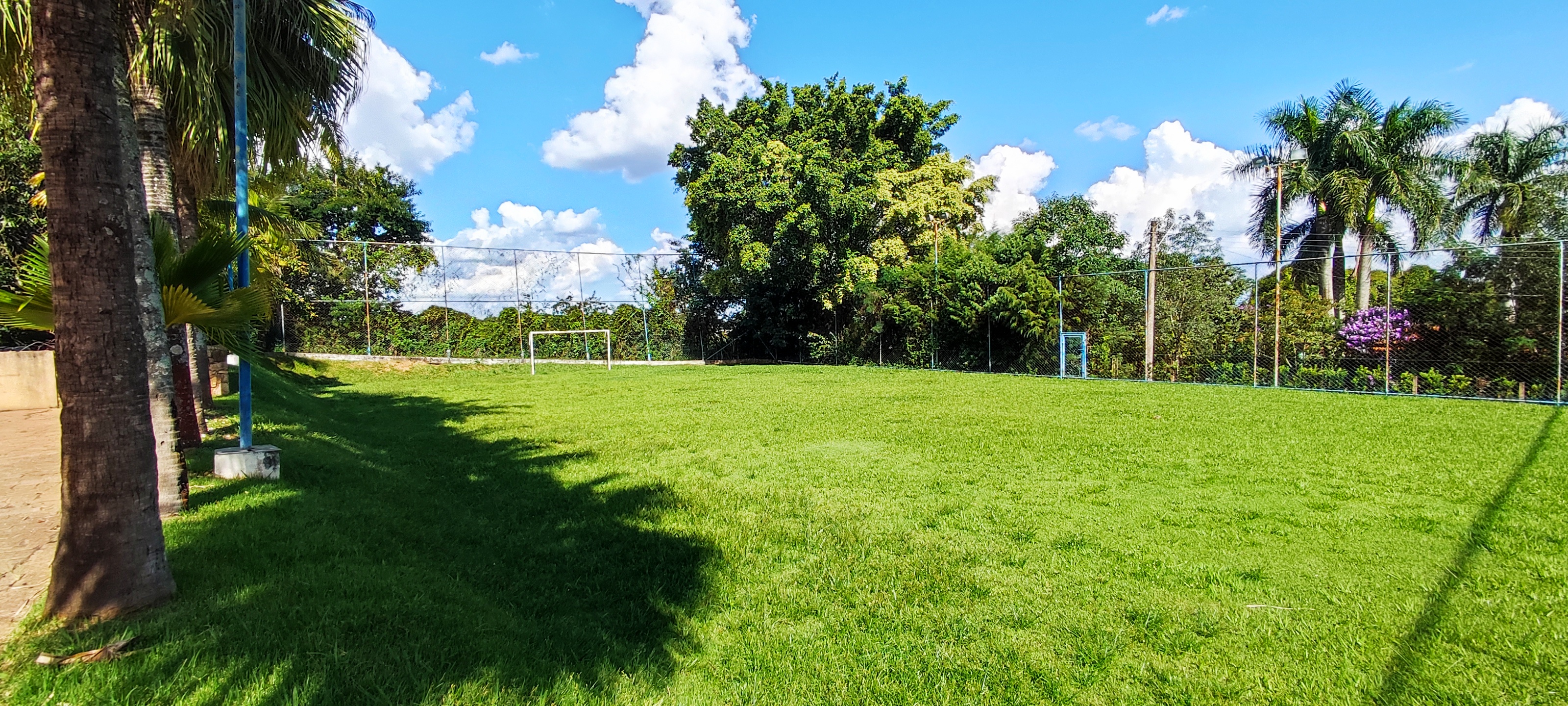 Fazenda à venda com 3 quartos, 3820m² - Foto 8