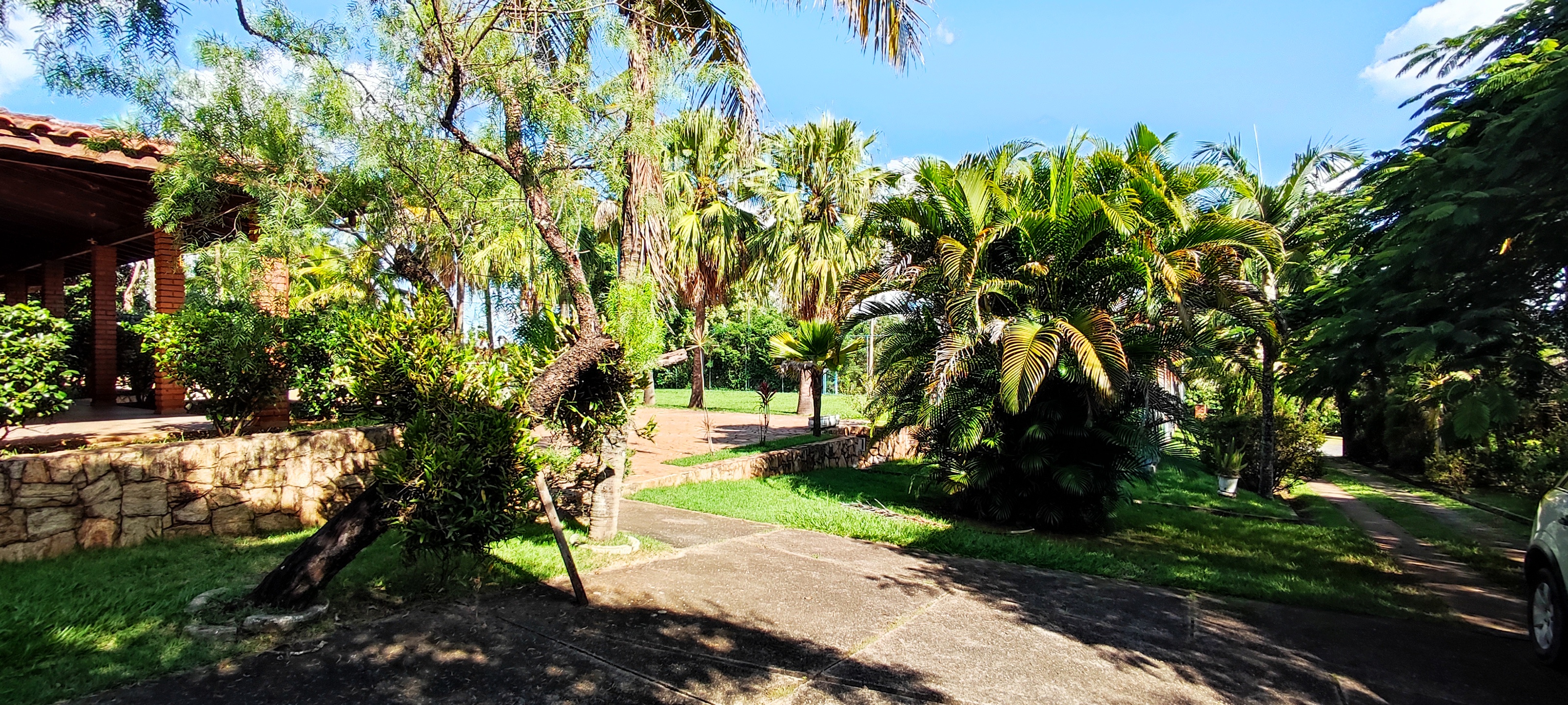 Fazenda à venda com 3 quartos, 3820m² - Foto 27