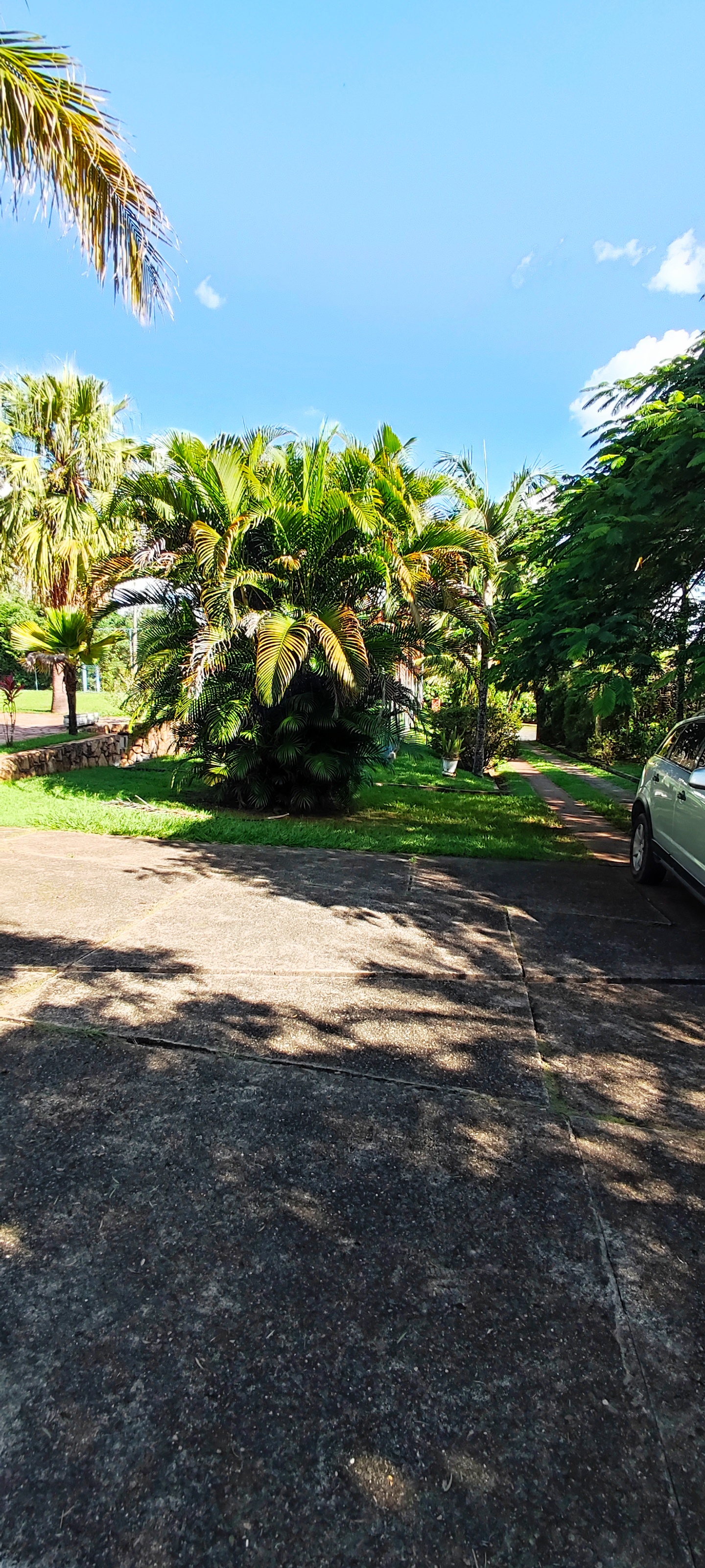 Fazenda à venda com 3 quartos, 3820m² - Foto 26