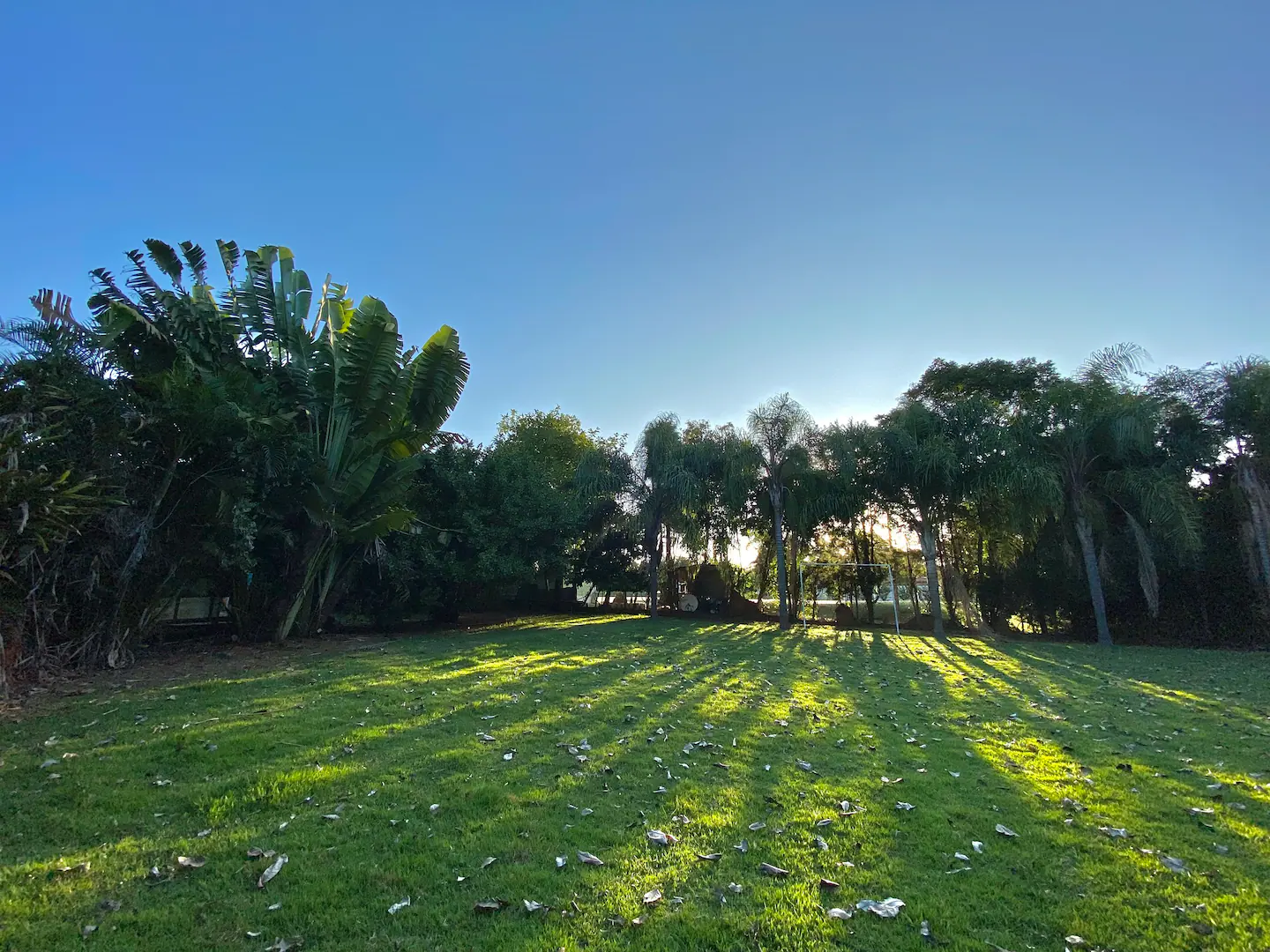 Fazenda à venda com 2 quartos, 2000m² - Foto 8