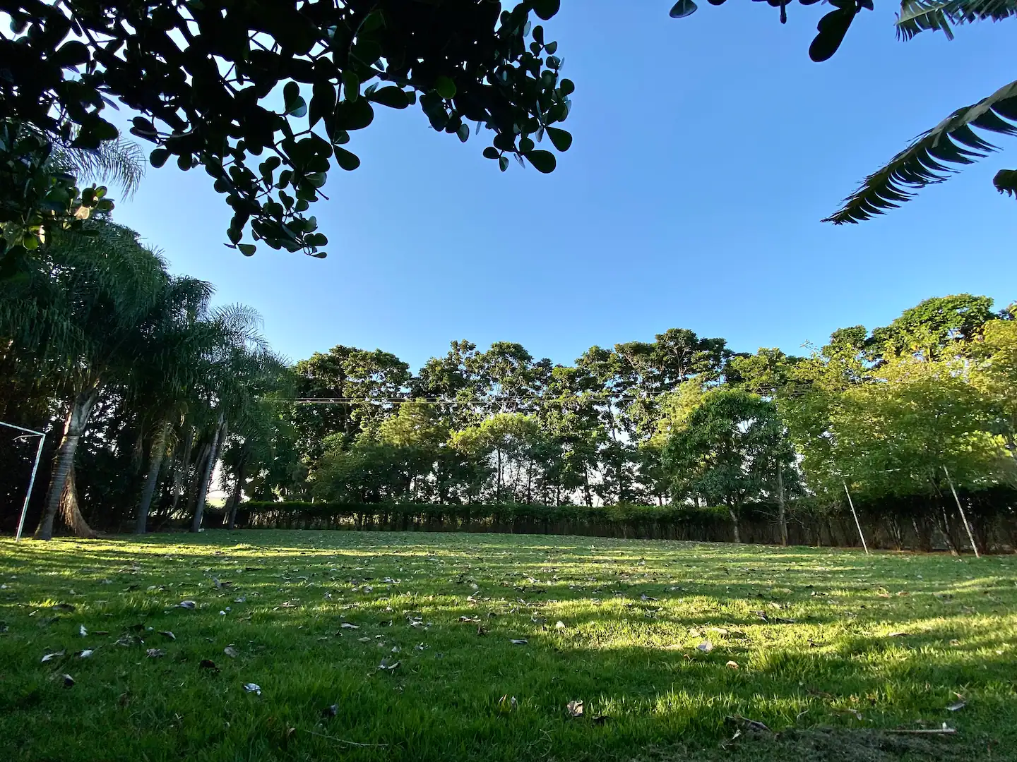 Fazenda à venda com 2 quartos, 2000m² - Foto 20