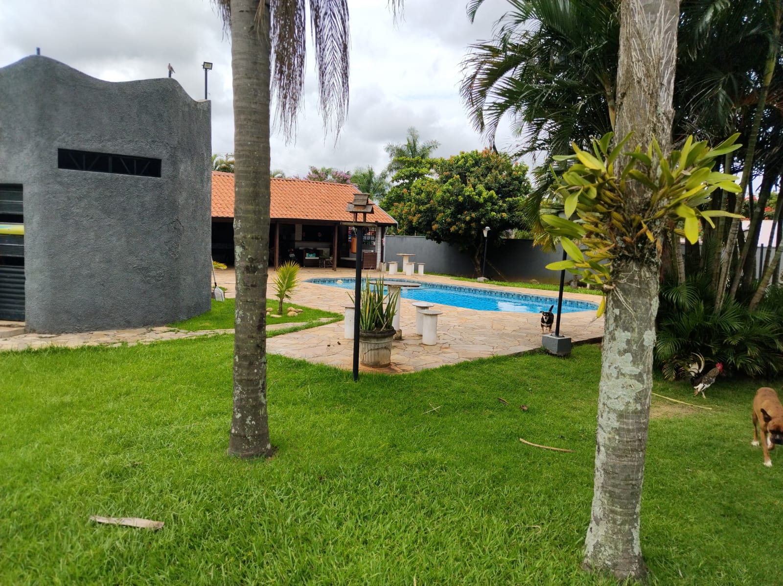 Fazenda à venda com 3 quartos, 1300m² - Foto 8