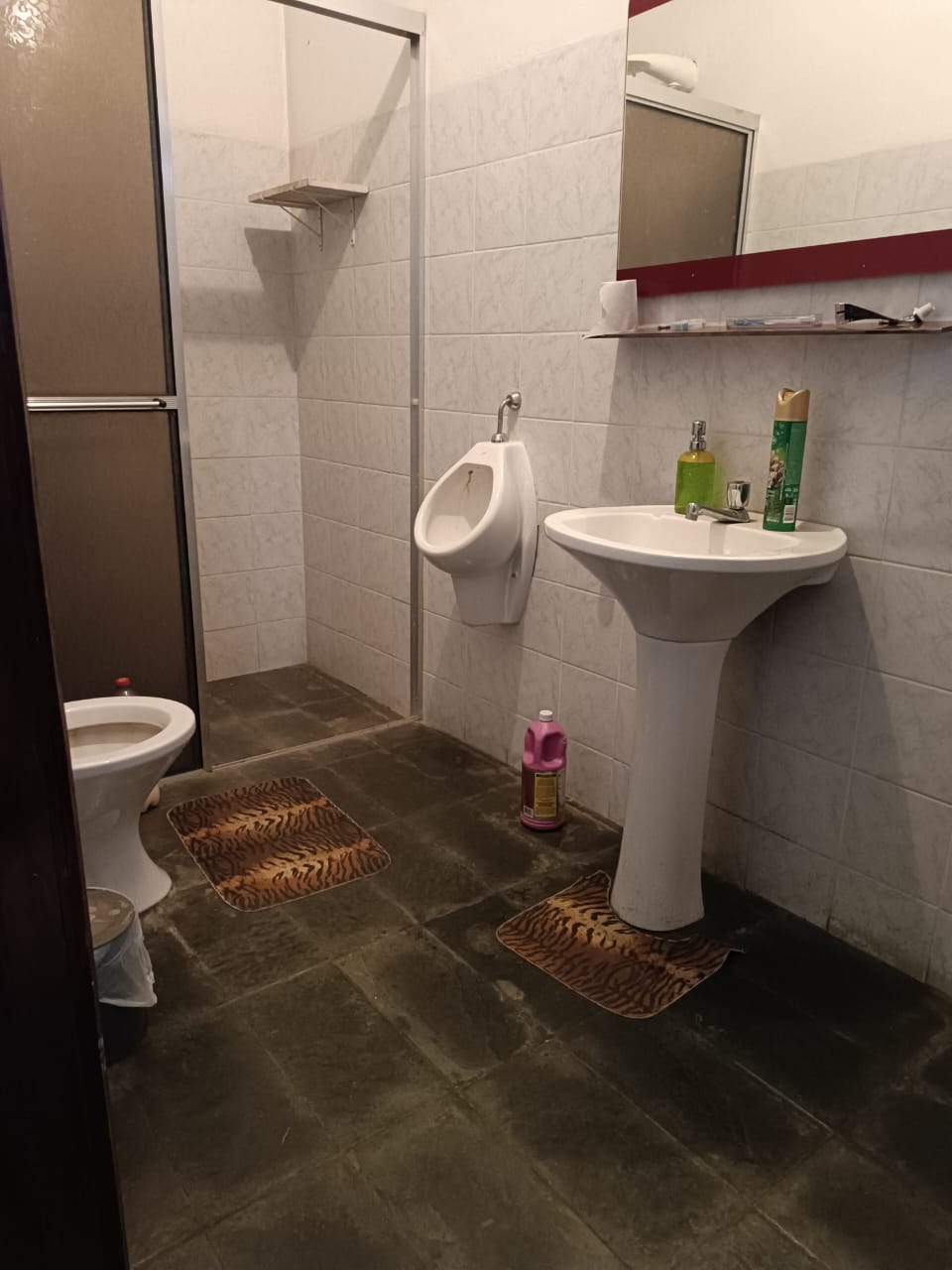 Chácara, 3 quartos, 3500 m² - Foto 14