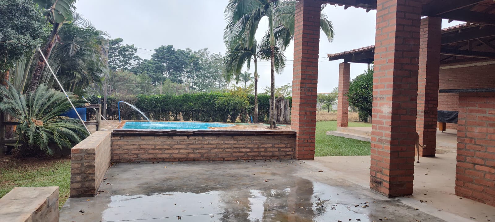 Chácara à venda com 2 quartos, 2000m² - Foto 13