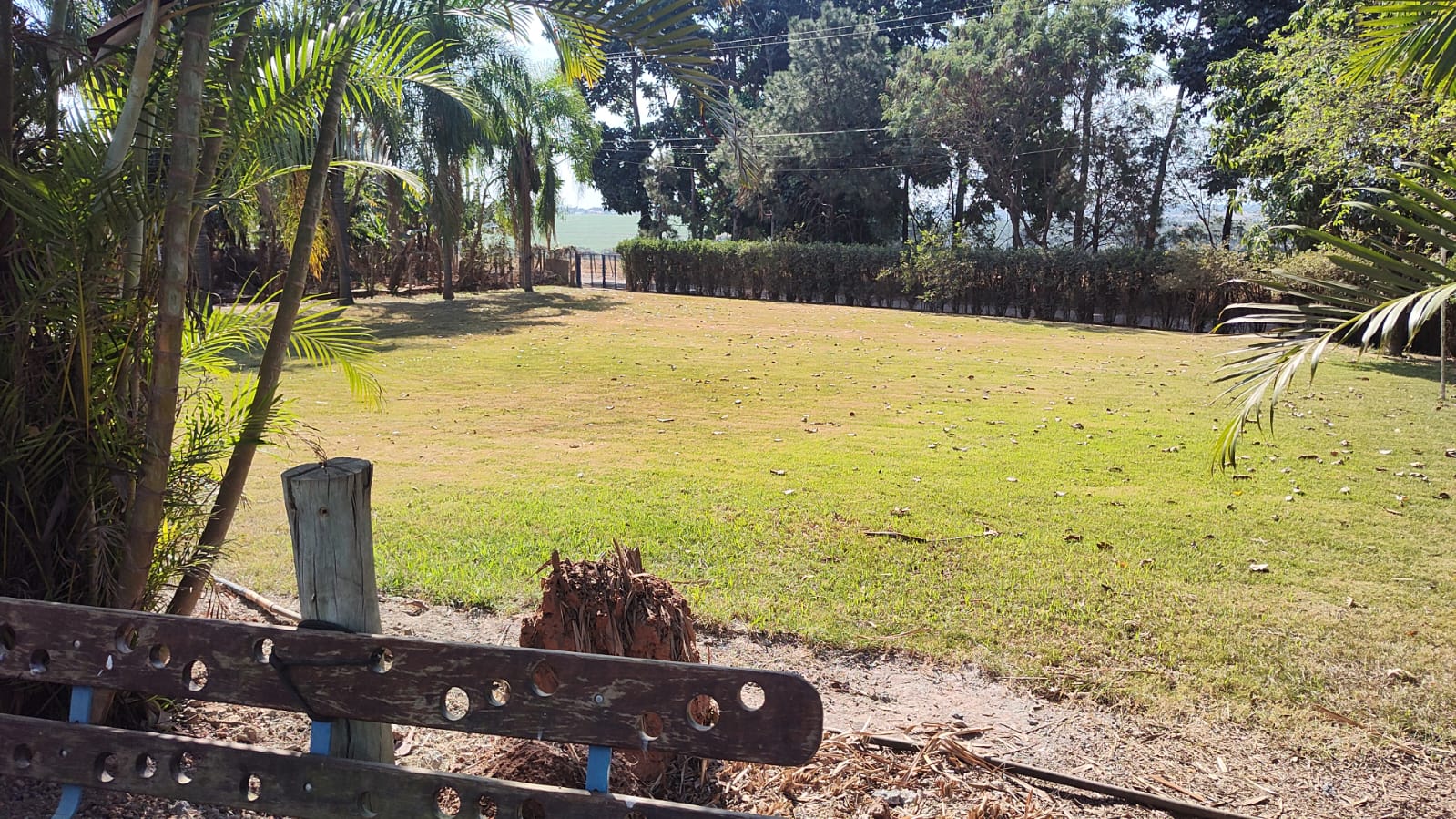 Chácara à venda com 2 quartos, 2000m² - Foto 9