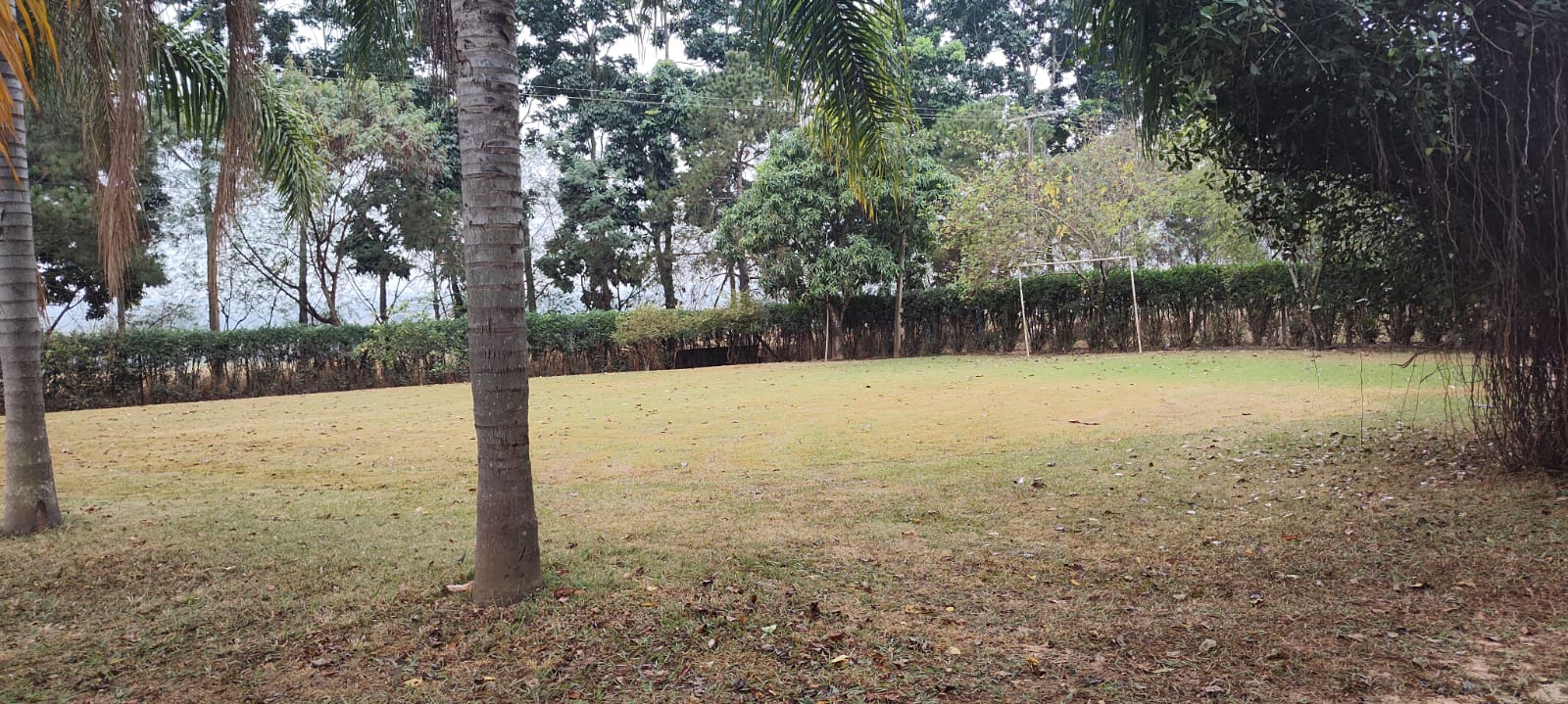 Chácara à venda com 2 quartos, 2000m² - Foto 12