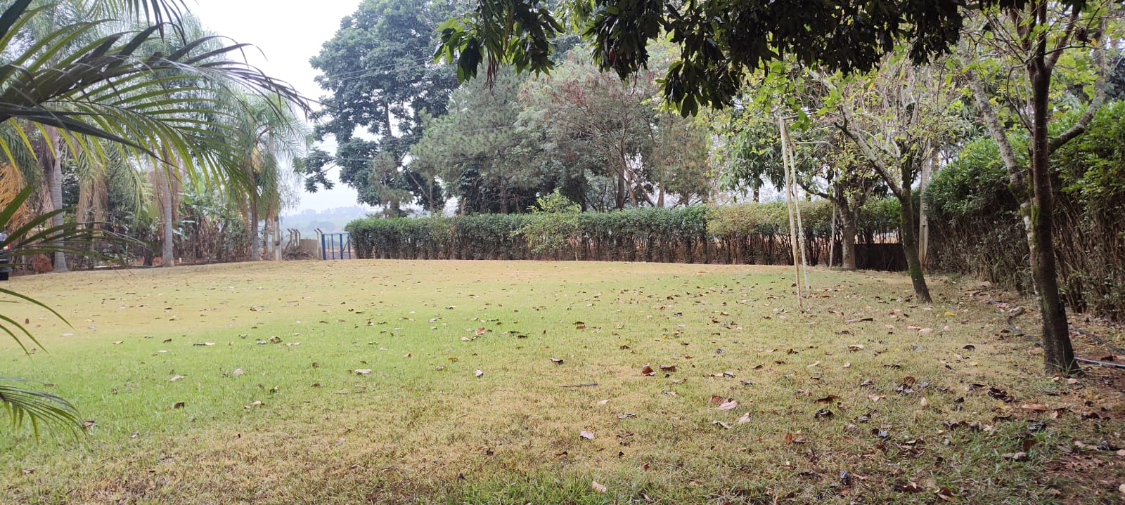 Chácara à venda com 2 quartos, 2000m² - Foto 11