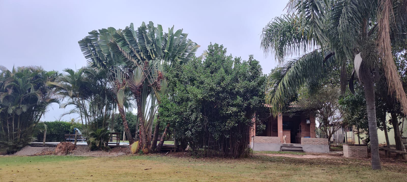 Chácara à venda com 2 quartos, 2000m² - Foto 15