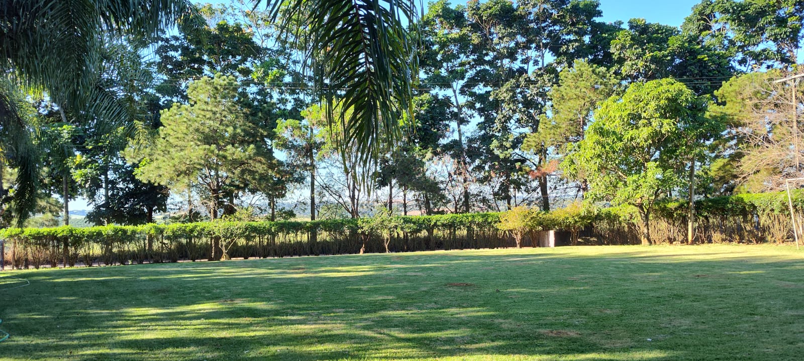 Chácara à venda com 2 quartos, 2000m² - Foto 6