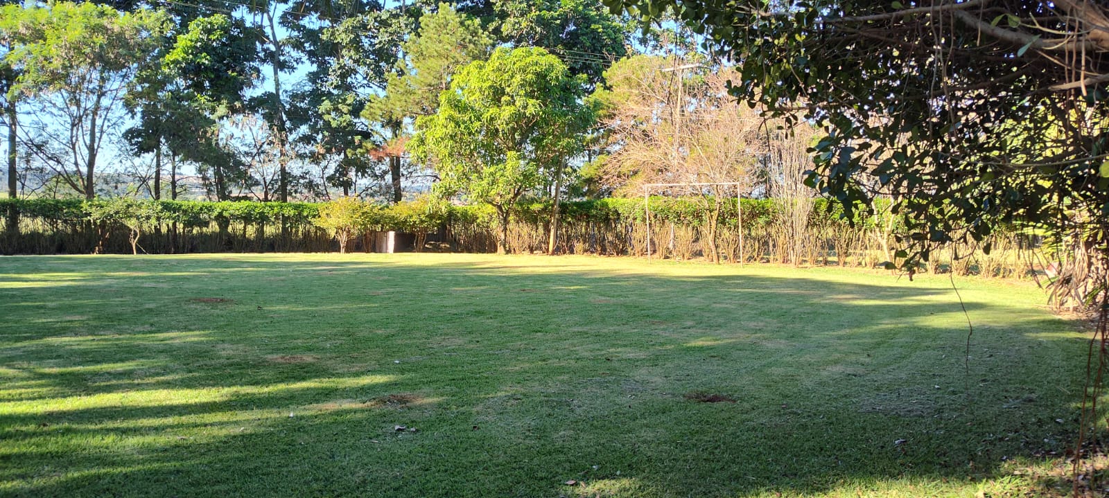 Chácara à venda com 2 quartos, 2000m² - Foto 7