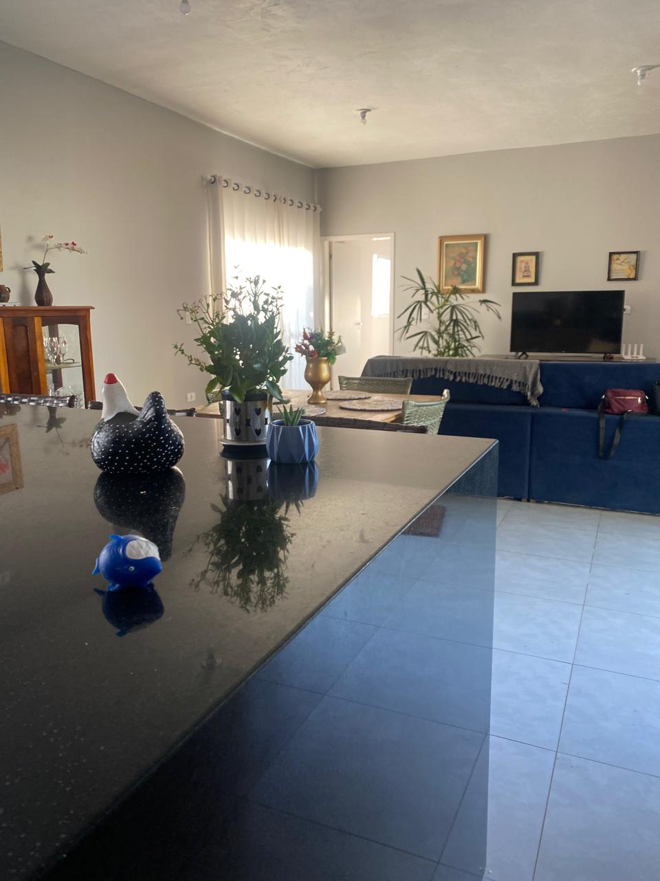 Chácara à venda com 3 quartos, 1000m² - Foto 4