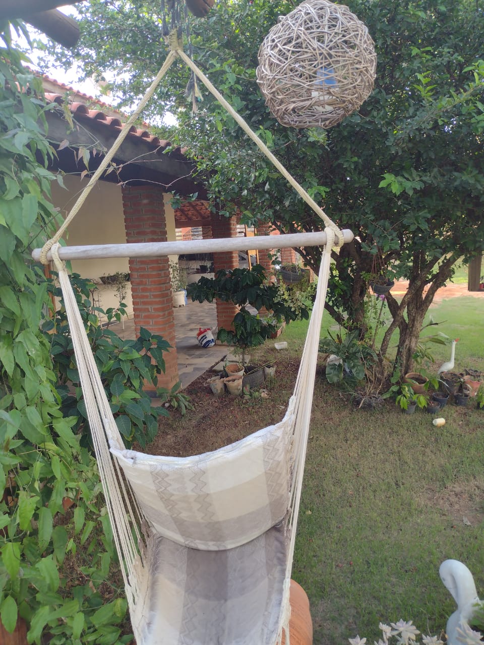 Chácara, 2 quartos, 1500 m² - Foto 6