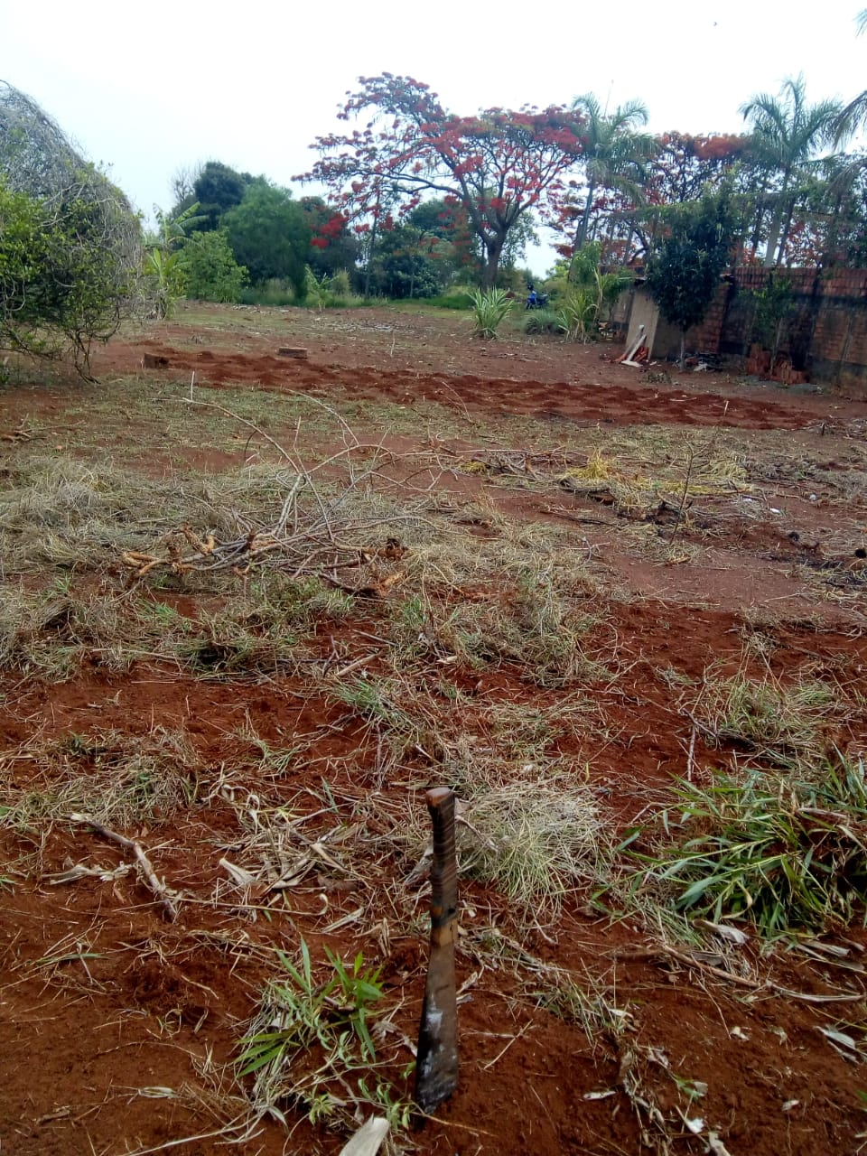 Terreno à venda, 1000m² - Foto 1