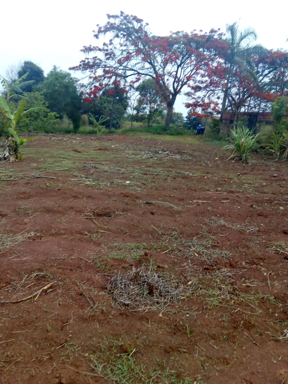 Terreno à venda, 1000m² - Foto 2