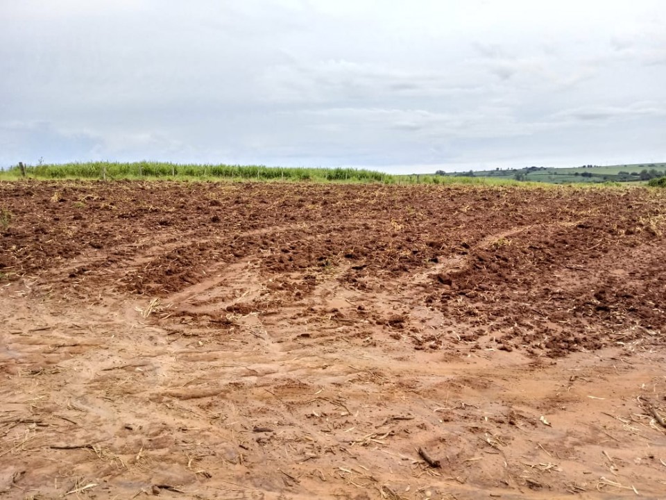 Terreno de 10.000m nos Pires