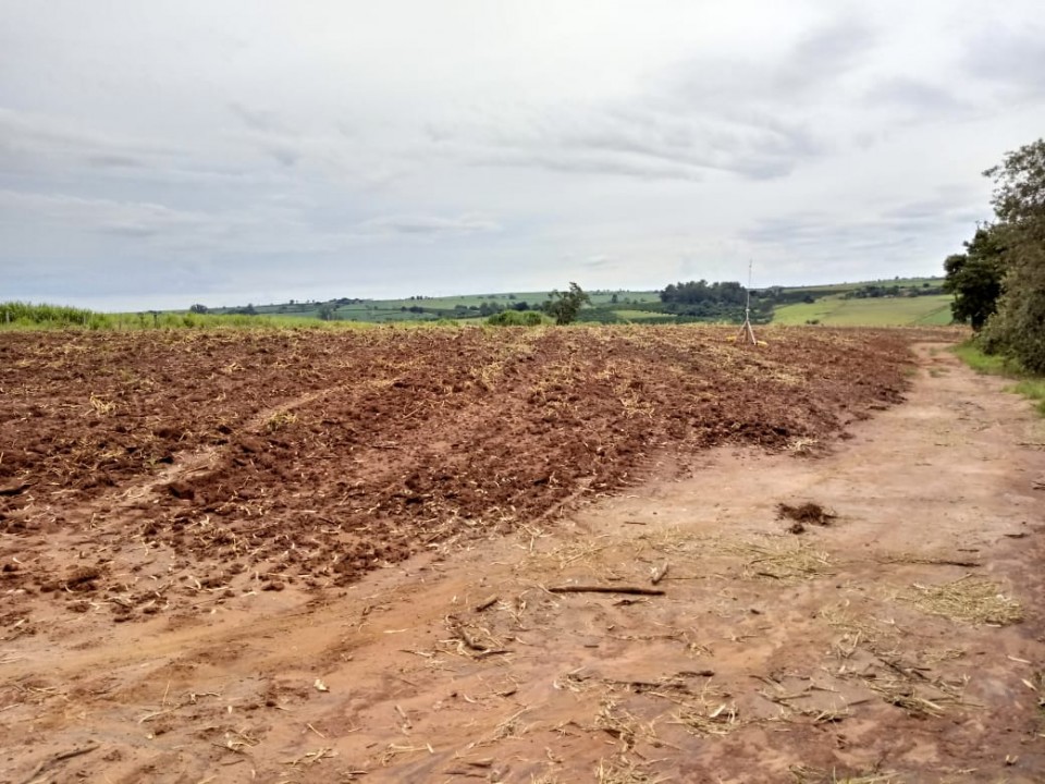 Terreno de 10.000m nos Pires