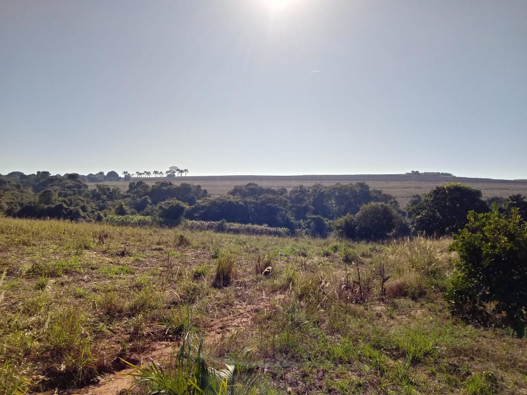 Terreno à venda, 36000m² - Foto 1