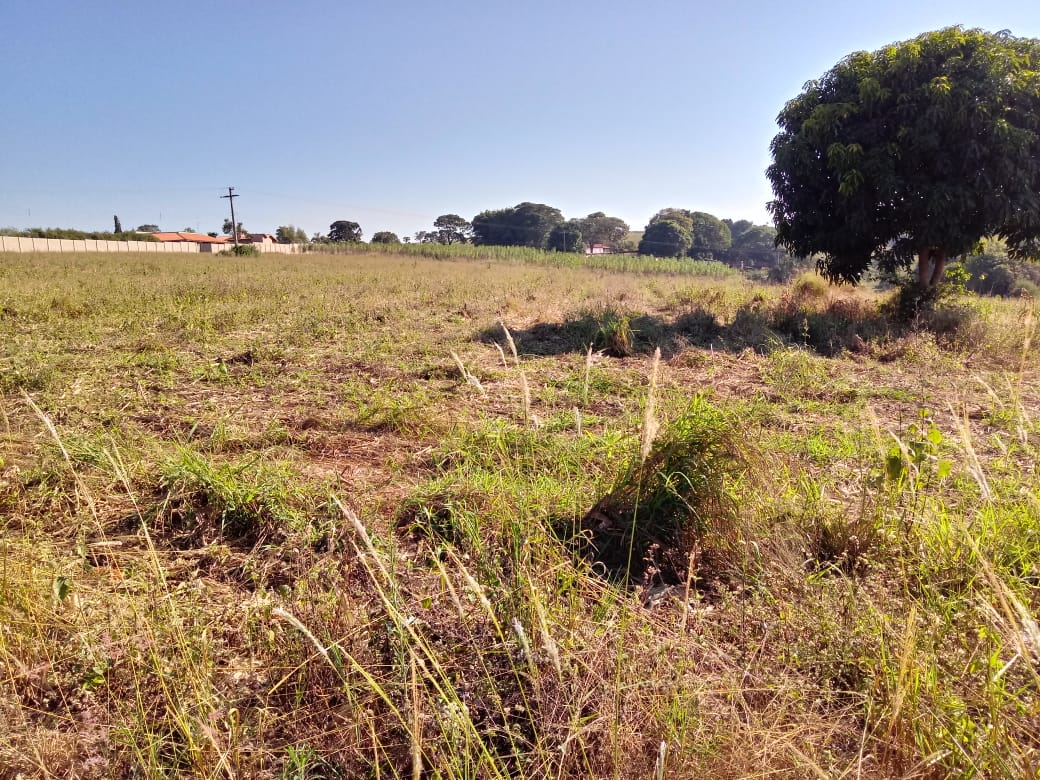 Terreno à venda, 36000m² - Foto 3