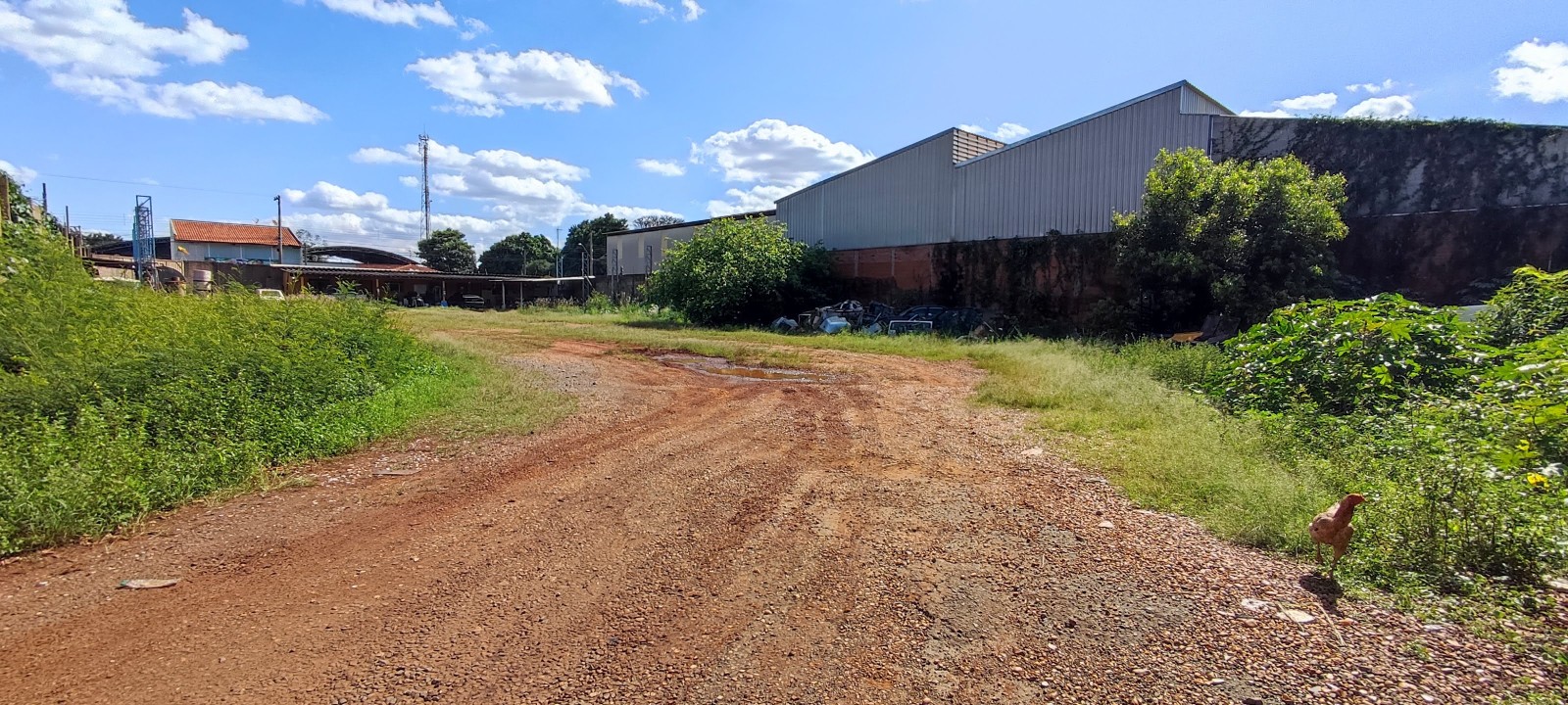 Terreno industrial plaino em Iracemápolis c/1125m