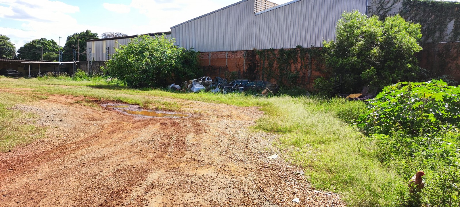 Terreno industrial plaino em Iracemápolis c/1125m
