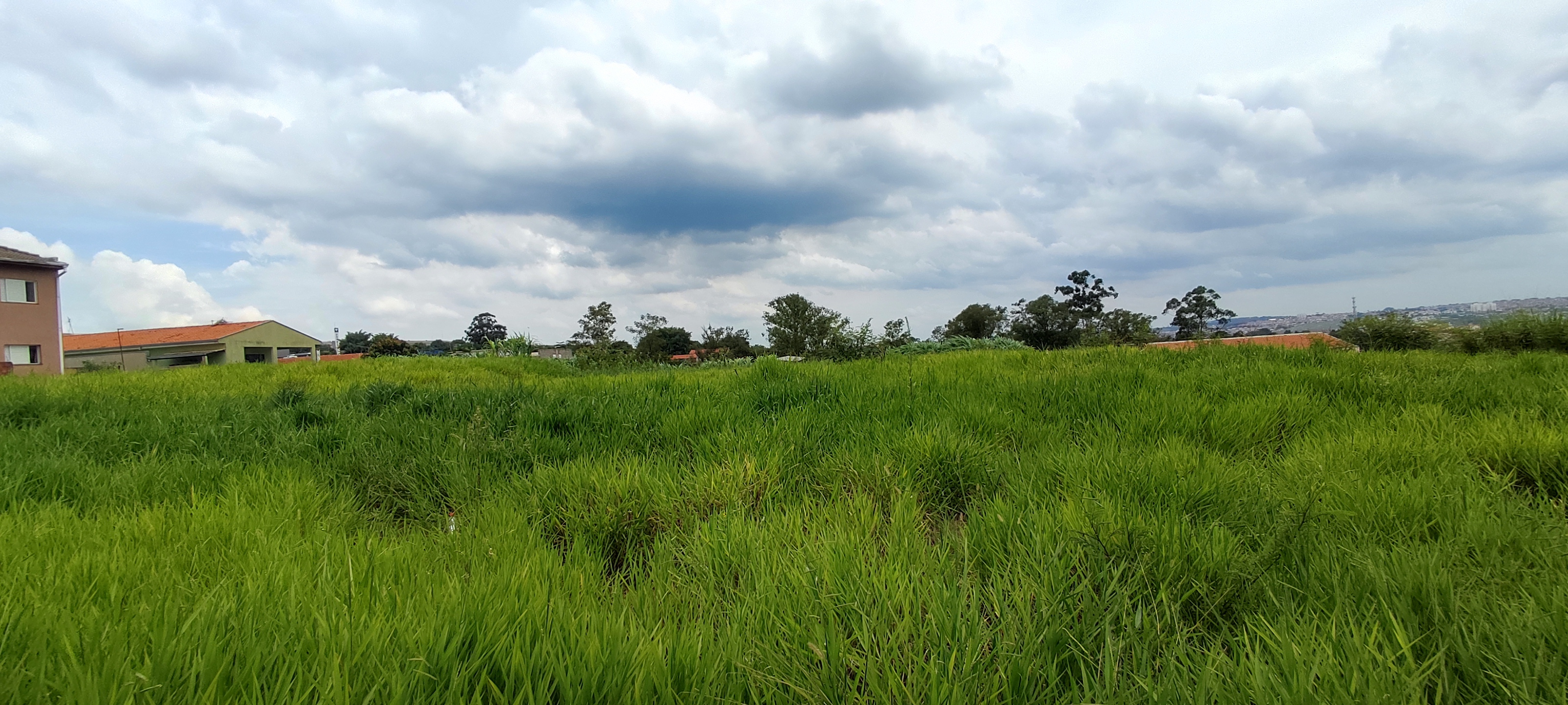 Terreno à venda, 3000m² - Foto 4