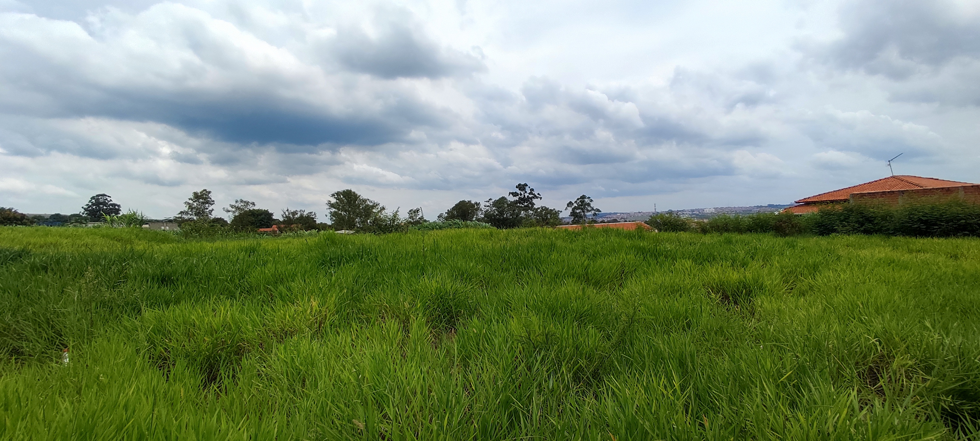 Terreno à venda, 3000m² - Foto 5