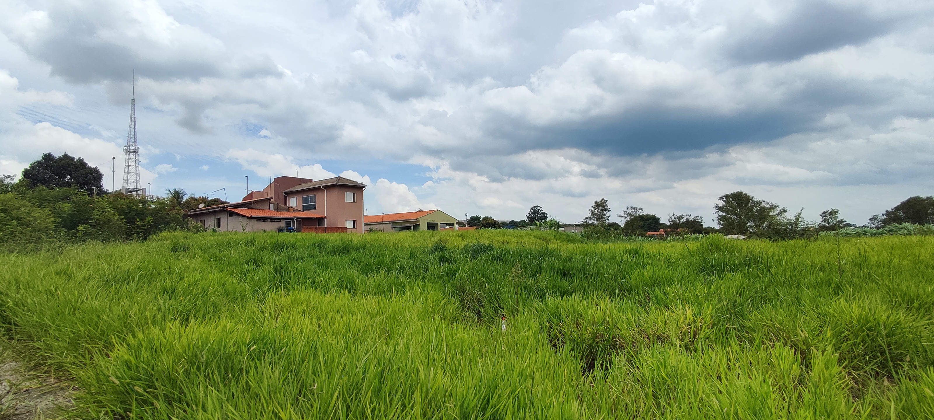 Terreno à venda, 3000m² - Foto 6